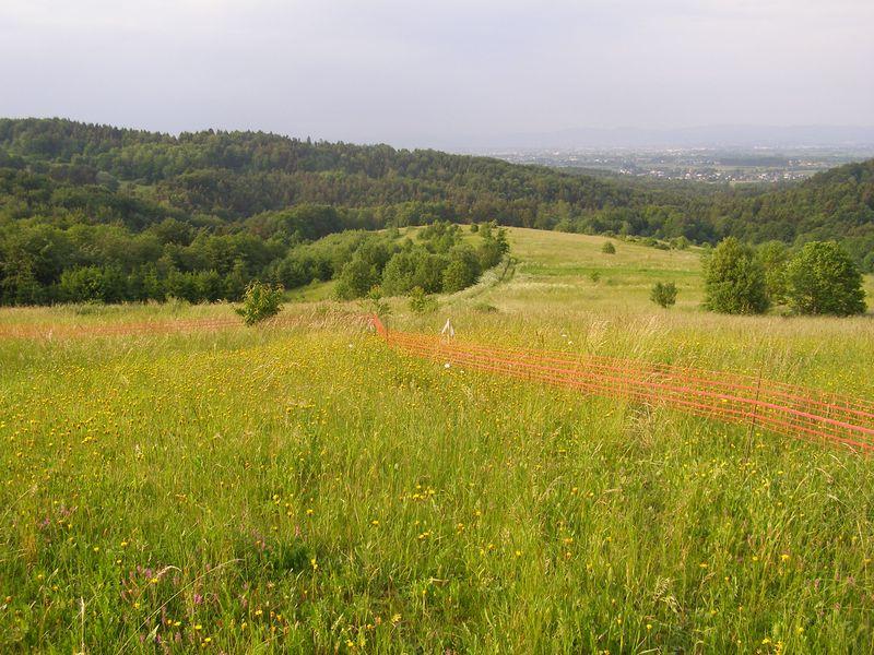 Baza na gorze i jej otoczenie_07.JPG